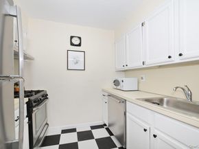 4 Birchwood Court 1O, Mineola NY 11501