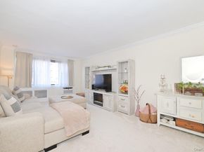 4 Birchwood Court 1O, Mineola NY 11501