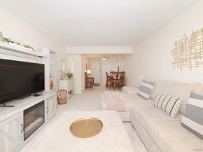 4 Birchwood Court 1O, Mineola NY 11501