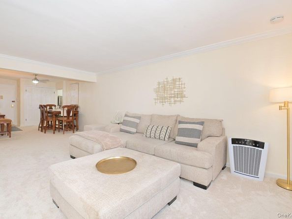 4 Birchwood Court 1O, Mineola NY 11501