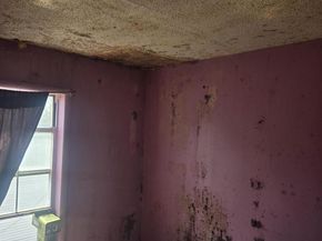 2105 Seward Avenue, Bronx NY 10473