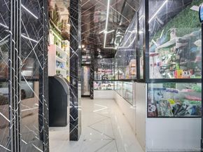 3225 Fulton Street, Brooklyn NY 11208