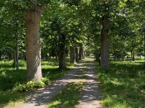 34 Old Neck Road S, Center Moriches NY 11934