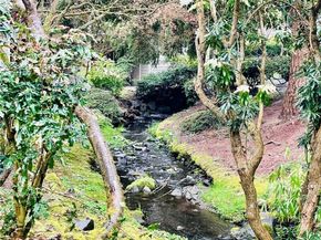 19857 25th Avenue NE 102, Shoreline WA 98155