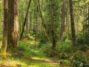 18305 121st Avenue SW, Vashon WA 98070