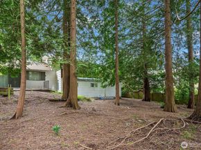 12030 NE 67th Street, Kirkland WA 98033