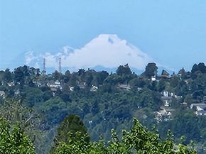 10911 D Glen Acres Drive S, Seattle WA 98168