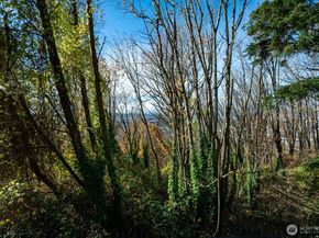 1311 12th Avenue S C104, Seattle WA 98144