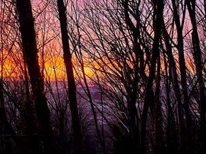 1311 12th Avenue S C104, Seattle WA 98144