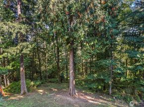 1059 Greenwood Boulevard SW, Issaquah WA 98027