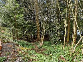 23018 35th Avenue W, Brier WA 98036