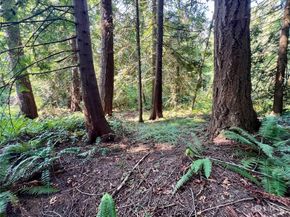 13318 Beverly Park Boulevard, Mukilteo WA 98275