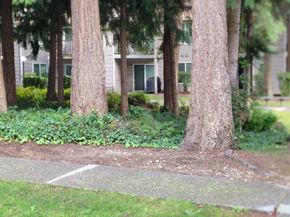 33010 17th Place S A108, Federal Way WA 98003