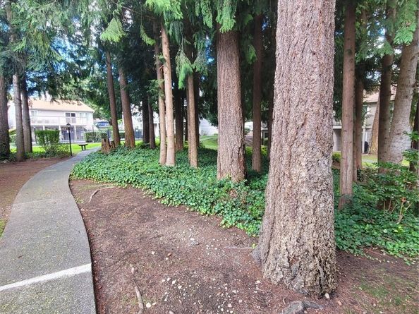 33010 17th Place S A108, Federal Way WA 98003