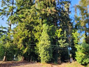 33010 17th Place S A108, Federal Way WA 98003