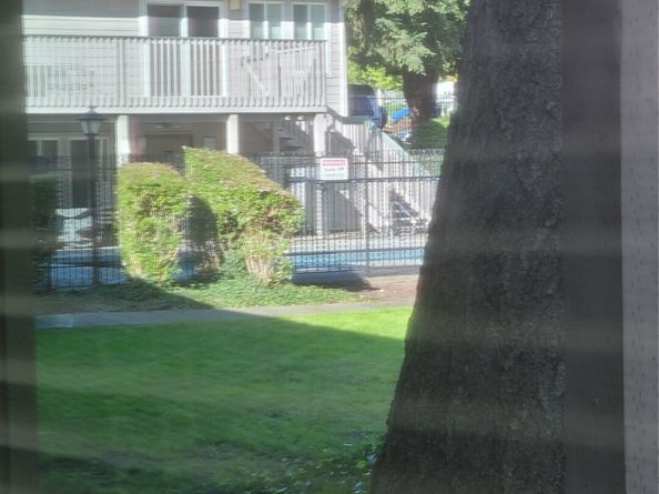 33010 17th Place S A108, Federal Way WA 98003