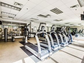 1200  Main Street  408, Dallas Texas 75202