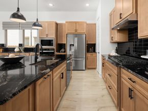 1012  Malachite Way , Oak Point Texas 75068
