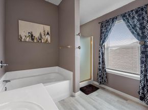4804  Palm Ridge Drive , Fort Worth Texas 76133