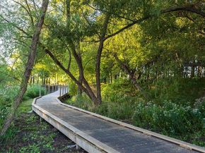 863  Forest Street , Little Elm Texas 76227