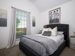 863  Forest Street , Little Elm Texas 76227
