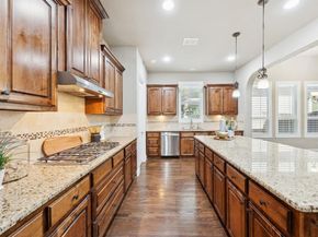 1852  Audubon Pond Way , Allen Texas 75013