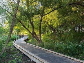 7209  Windy Meadow Drive , Little Elm Texas 76227