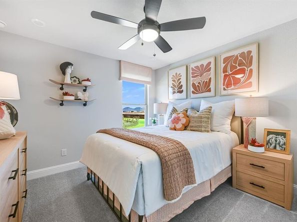 546  Wisteria Street , Oak Point Texas 75068