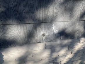 1217  High Street , Fort Worth Texas 76110