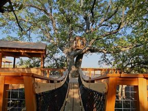 1805  Tree House Trail , Mesquite Texas 75181