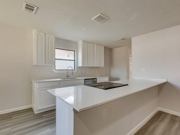 1006  Sleepy Hollow Drive , Garland Texas 75043