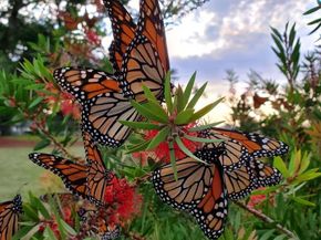 620 El Salto Drive, Capitola CA 95010