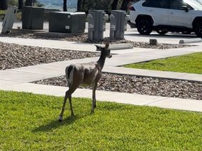 18904 Nicklaus DR, Point Venture TX 78645