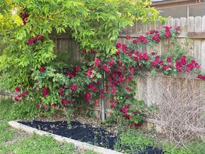 12106 Grey Fawn PATH, Austin TX 78750