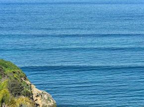 7825 Prospect Pl, La Jolla CA 92037