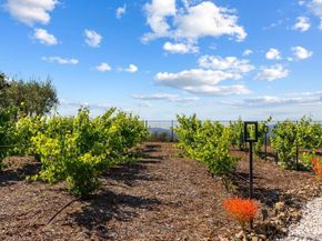 18264 Avenida Manantial, Rancho Santa Fe CA 92067