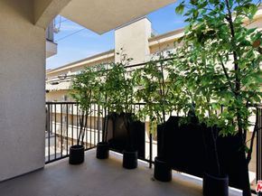 11908 Darlington Avenue 203, Los Angeles CA 90049