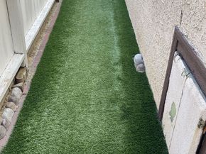 433 N Norton Avenue, Los Angeles CA 90004