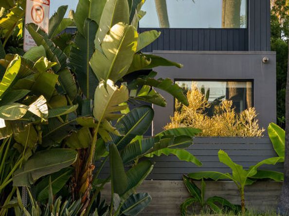 407 Rialto Avenue, Venice CA 90291