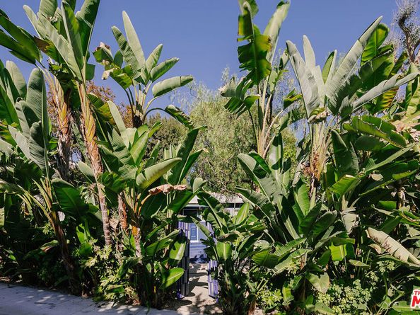 3019 Effie Street, Los Angeles CA 90026