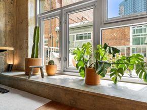 530 S Hewitt Street 244, Los Angeles CA 90013