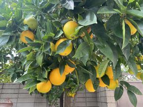 9212 Creemore Drive, La Crescenta CA 91214