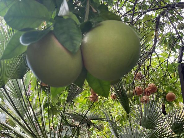 9212 Creemore Drive, La Crescenta CA 91214