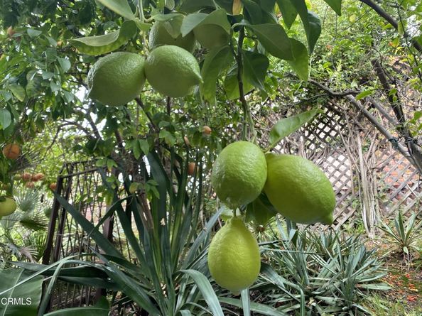 9212 Creemore Drive, La Crescenta CA 91214