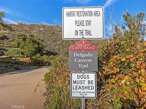 33575 Via De Agua, San Juan Capistrano CA 92675