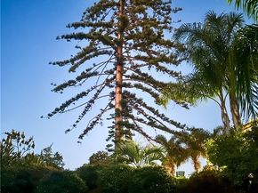 1955 Friendly, Vista CA 92084