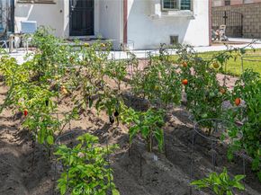 533 Hawthorne Street, Glendale CA 91204