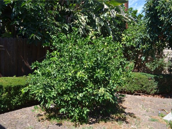 415 S Grandin Ave, Azusa CA 91702