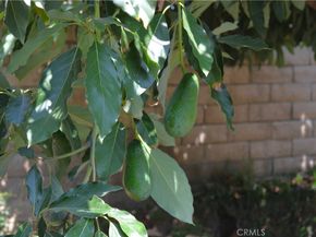 415 S Grandin Ave, Azusa CA 91702