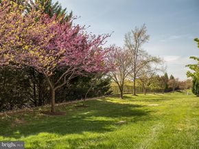 3310 Theodore R Hagans Drive NE, Washington DC 20018
